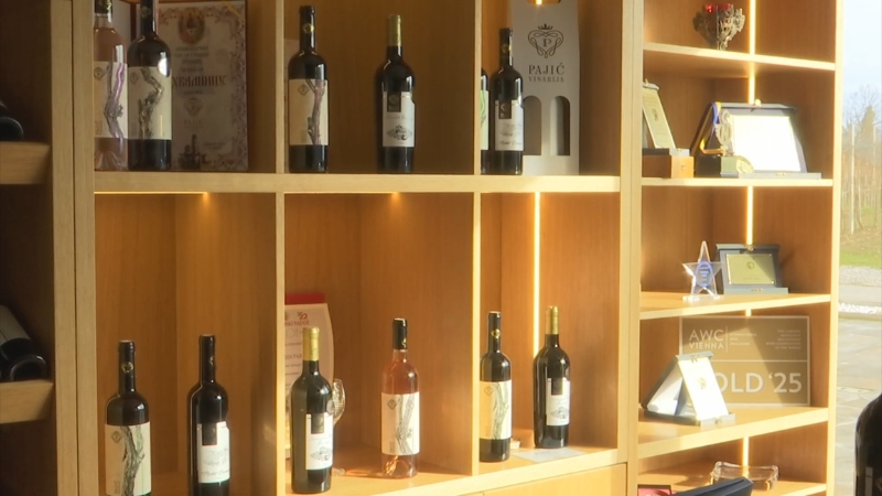 Drvene police sa bocama vina i nagradama izložene u modernoj vinariji