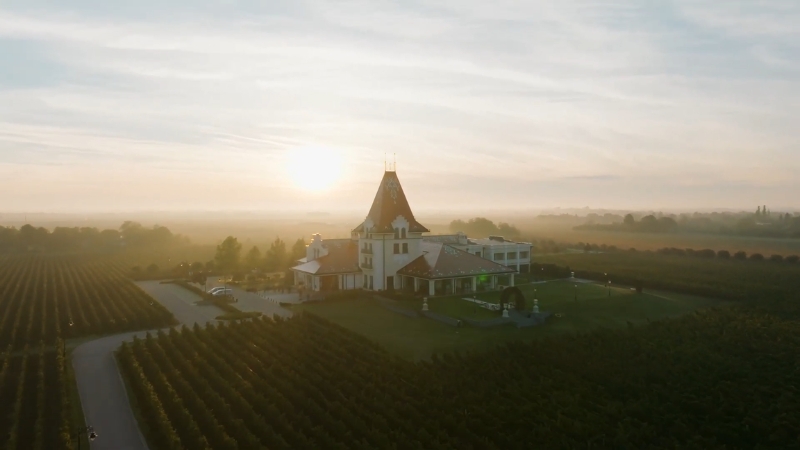 Vinarija Zvonko Bogdan okružena vinogradima u ravnici Vojvodine u zlatnom svetlu zalaska sunca